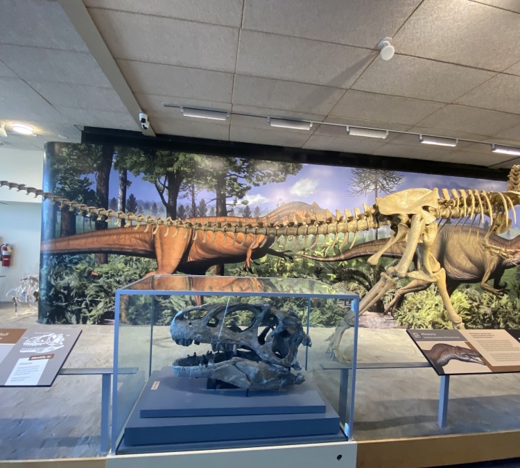 Quarry Exhibit Hall at Dinosaur National Monument (Jensen,&nbspUT)
